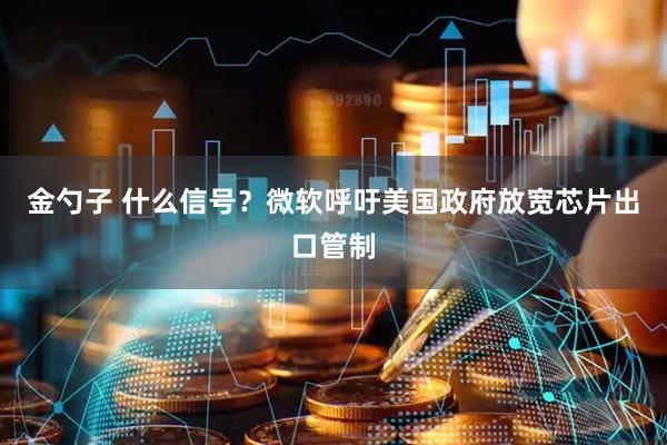 金勺子 什么信号？微软呼吁美国政府放宽芯片出口管制