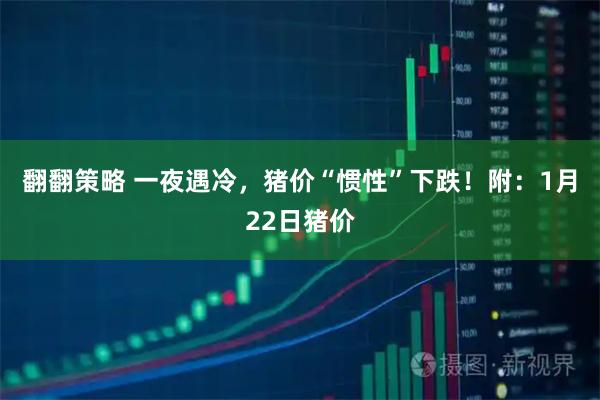 翻翻策略 一夜遇冷，猪价“惯性”下跌！附：1月22日猪价