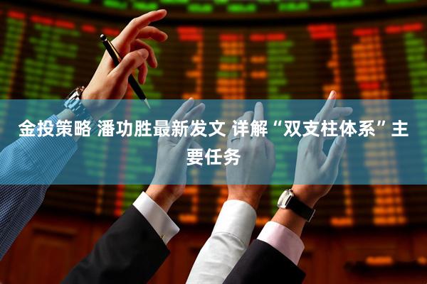 金投策略 潘功胜最新发文 详解“双支柱体系”主要任务