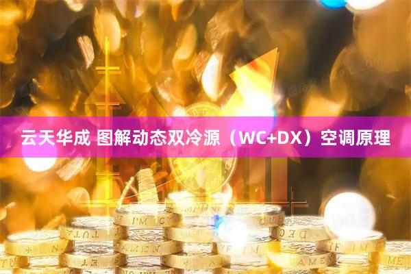 云天华成 图解动态双冷源（WC+DX）空调原理