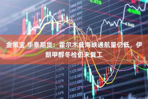 金策宝 华泰期货：霍尔木兹海峡通航量仍低，伊朗甲醇冬检仍未复工